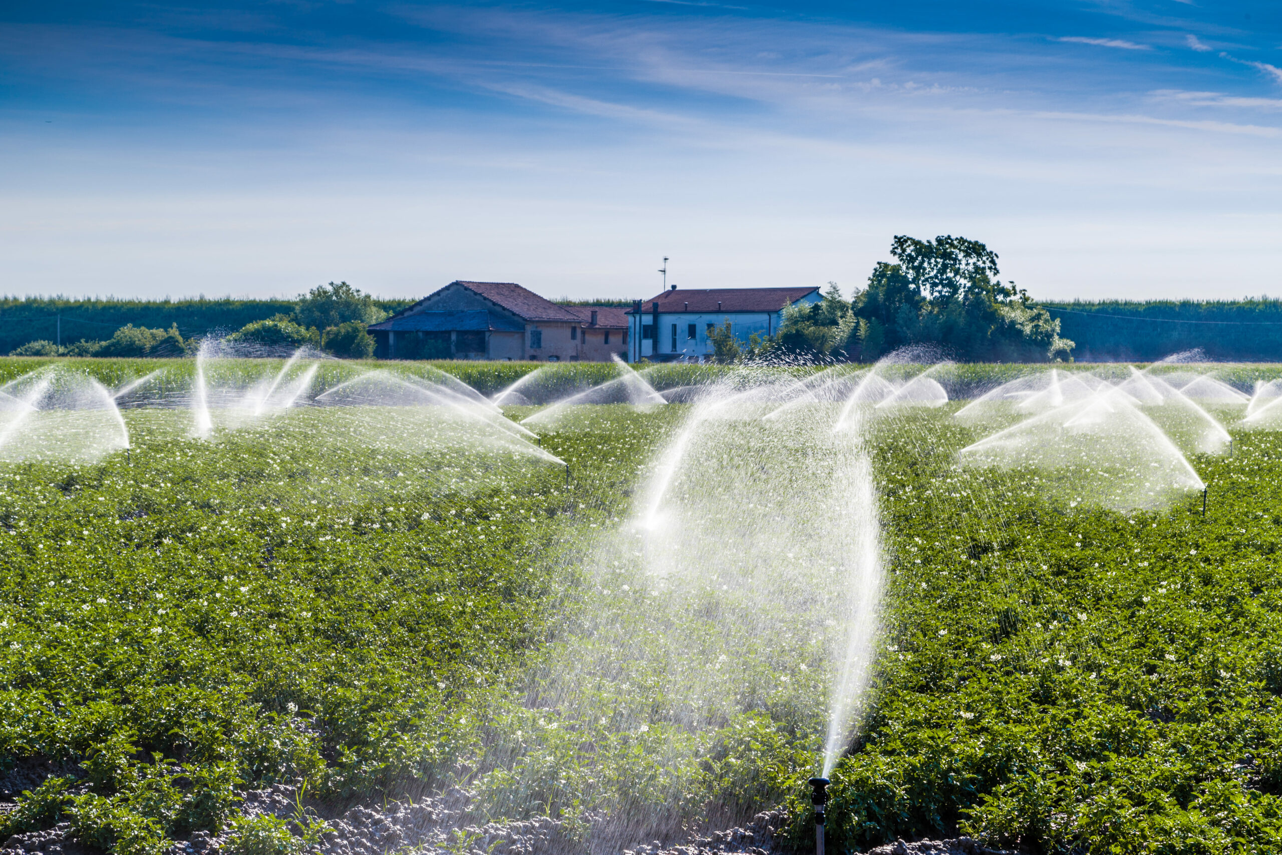 A Importância Do Agronegócio Para O Brasil - Partner Consulting